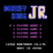 Donkey Kong Jr