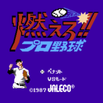 燃えろ！！　プロ野球