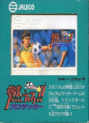 燃えろ！！プロサッカー