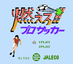 燃えろ！！プロサッカー