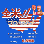 全米プロバスケット